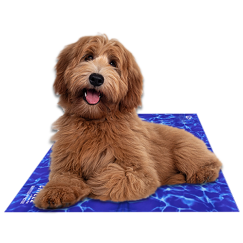 Chillz Gel Mat