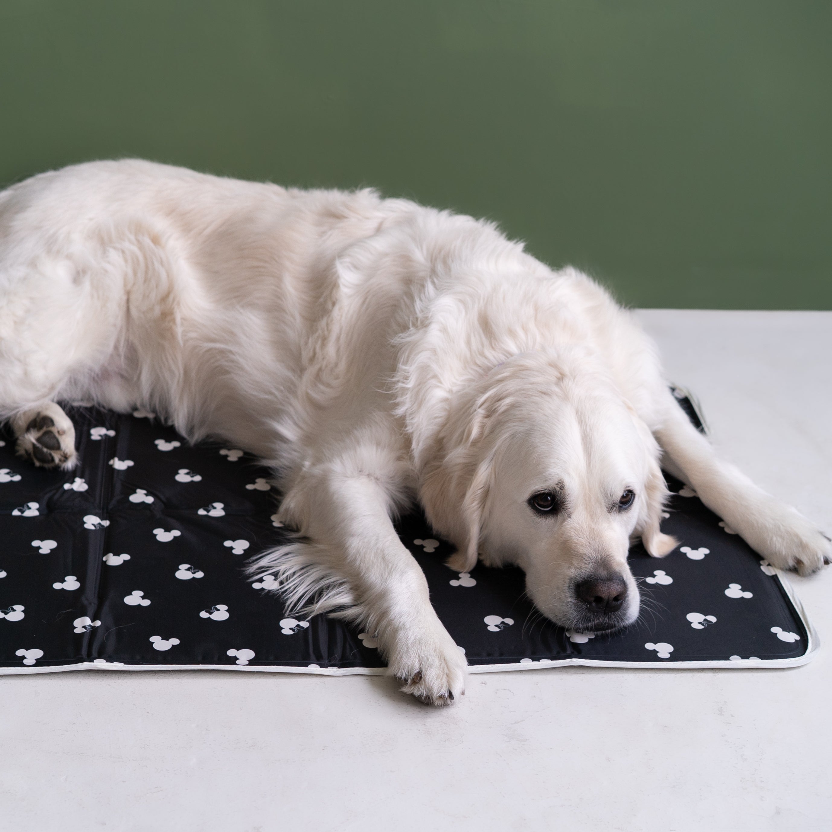 Disney Mickey & Minnie Cool Pet Pad